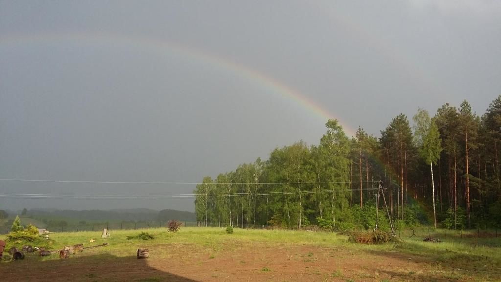 Проживание в семье Leśny Dworek na Mazurach Мронгово